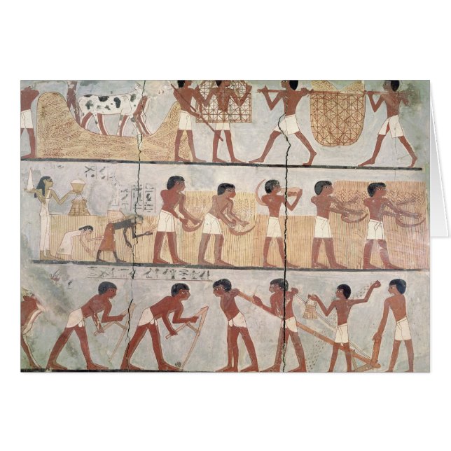 Scenes of sowing from the Tomb of Unsou (Front Horizontal)