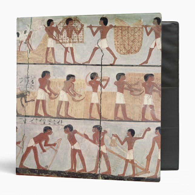 Scenes of sowing from the Tomb of Unsou Binder (Front/Inside)