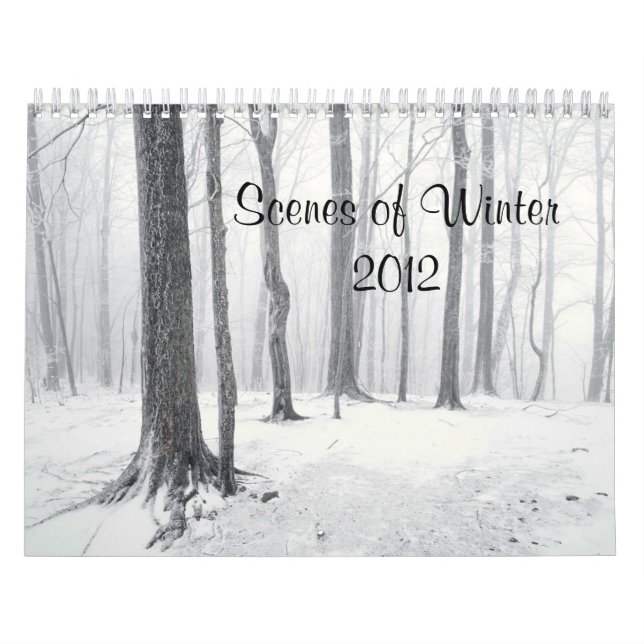 Scenes of Winter 2012  Calendar (Cover)