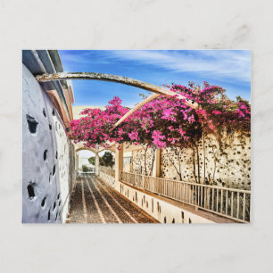 Scenic Alleyway in Santorini, Greece Holiday Postcard