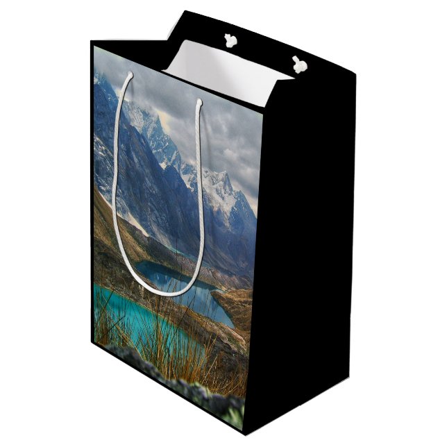 Scenic Alpine Mountains Photo Medium Gift Bag (Back Angled)