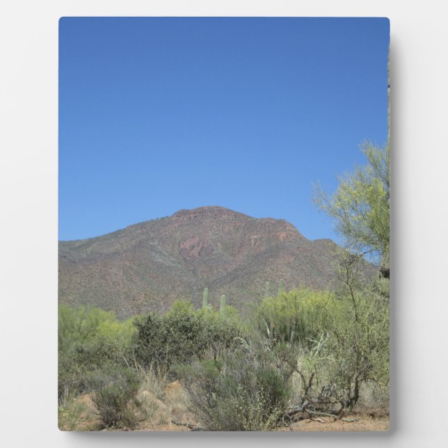 Scenic Apache Trail Plaque (Front)