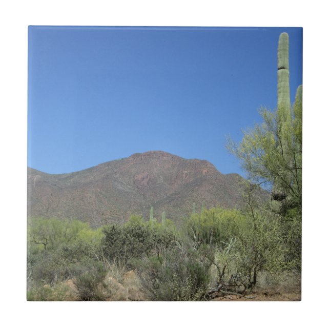 Scenic Apache Trail Tile (Front)