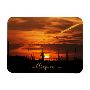 Scenic Arizona Saguaros at Sunset Magnet