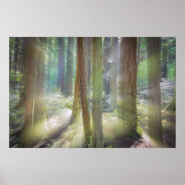 Scenic Beach State Park Poster (Front)