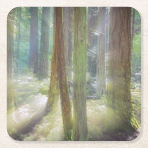 Scenic Beach State Park Square Paper Coaster