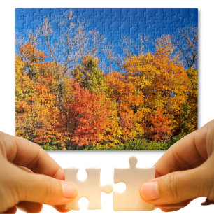 Scenic Fall Trees and Blue Sky Nature Photo Jigsaw Puzzle