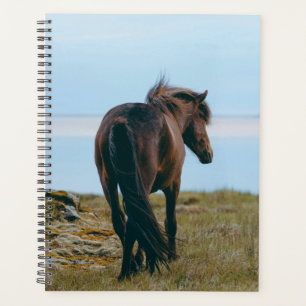 Scenic Horse Planner