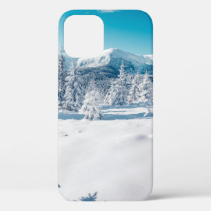 Scenic image of spruces tree. Frosty day, calm win iPhone 12 Case