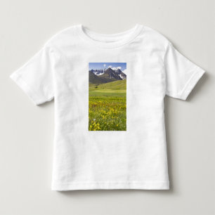 Scenic landscape of Svarfadardalur valley Toddler T-shirt