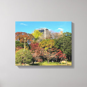 Scenic Landscape with Autumn Colour Canvas Print