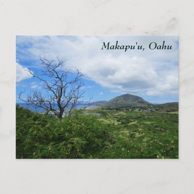 Scenic Makapuʻu Oahu Hawaii Mountains Ocean View Postcard (Front)