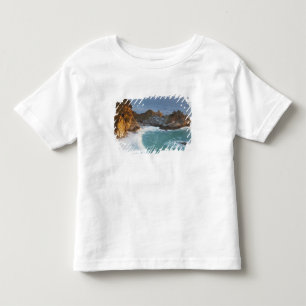 Scenic McWay Falls tumbles into the beach and 2 Toddler T-shirt