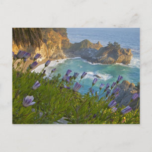 Scenic McWay Falls tumbles into the beach and Postcard