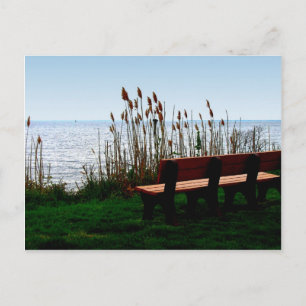 Scenic Ocean Bay View Postcard