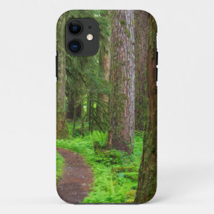 Scenic of old growth forest iPhone 11 case