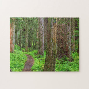 Scenic of old growth forest jigsaw puzzle