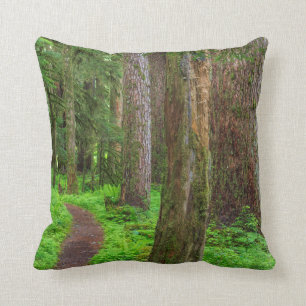 Scenic of old growth forest throw pillow