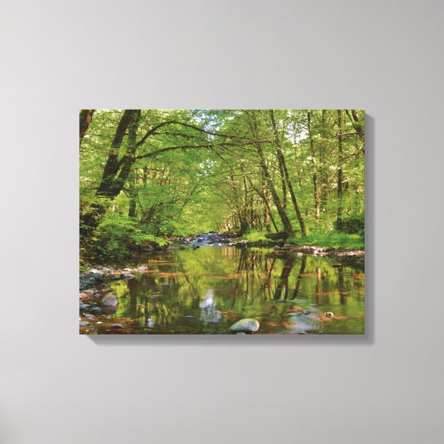 Scenic of Wilson River Canvas Print (Front)