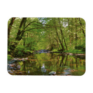 Scenic of Wilson River Magnet