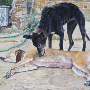scenic picture of two very cute grayhound dogs jigsaw puzzle