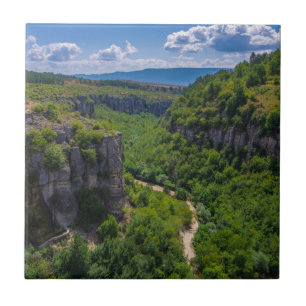 Scenic Pine Trees Canyon Tile