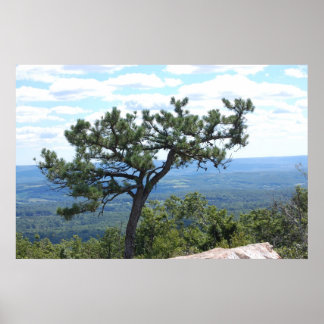 Scenic Poster