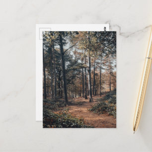 Scenic relaxing forest postcard