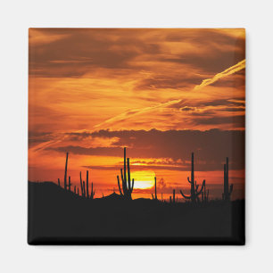 Scenic Saguaros at Sunset Magnet