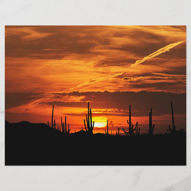 Scenic Saguaros at Sunset Scrapbook Paper (Front)