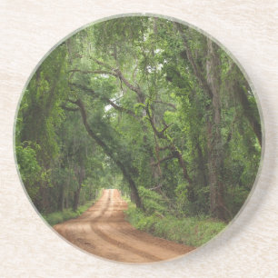 Scenic Series---Canopy Road Coaster