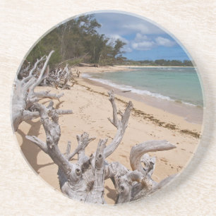 Scenic Series---Driftwood Coaster