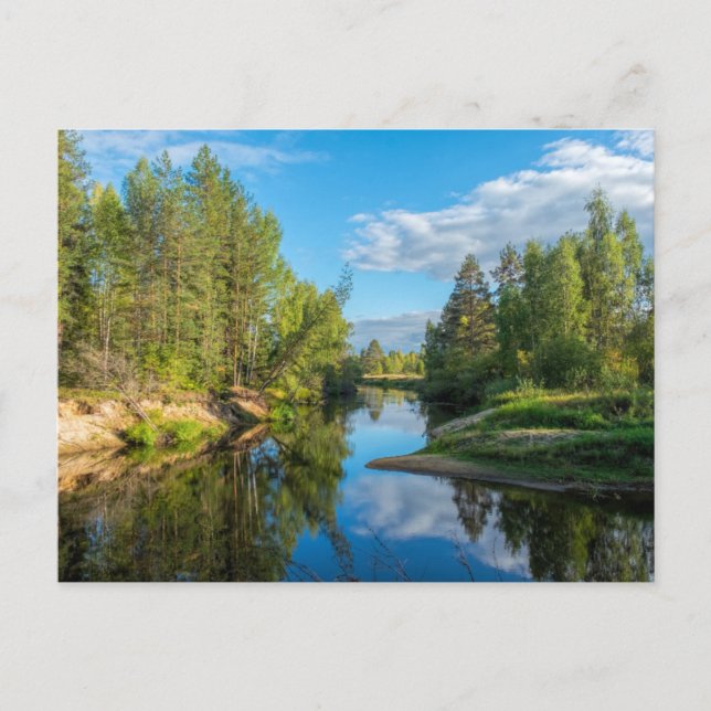Scenic stream through the trees countryside postcard (Front)