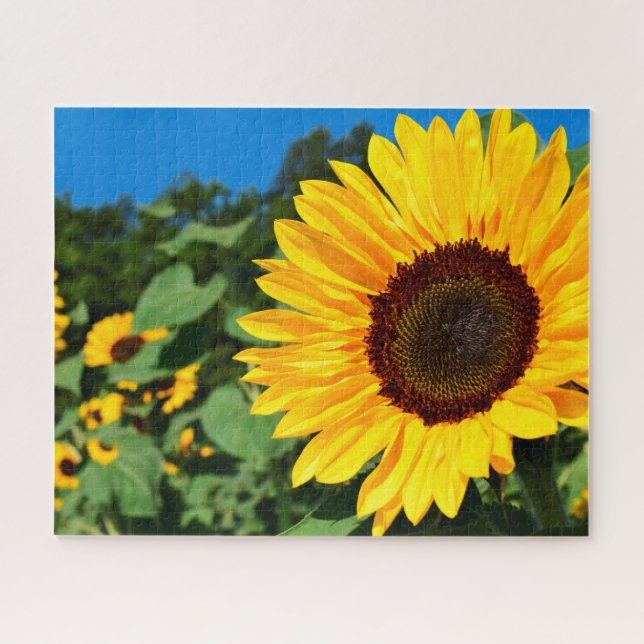 Scenic Sunflower Nature Theme Jigsaw Puzzle (Horizontal)