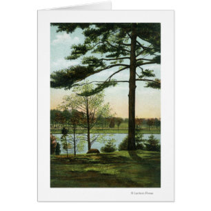 Scenic View at Chestnut Hill Reservoir