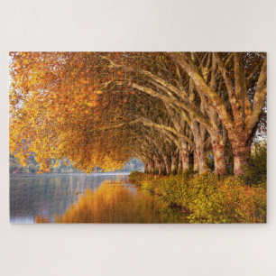 Scenic view of autumn golden trees besides a lake jigsaw puzzle