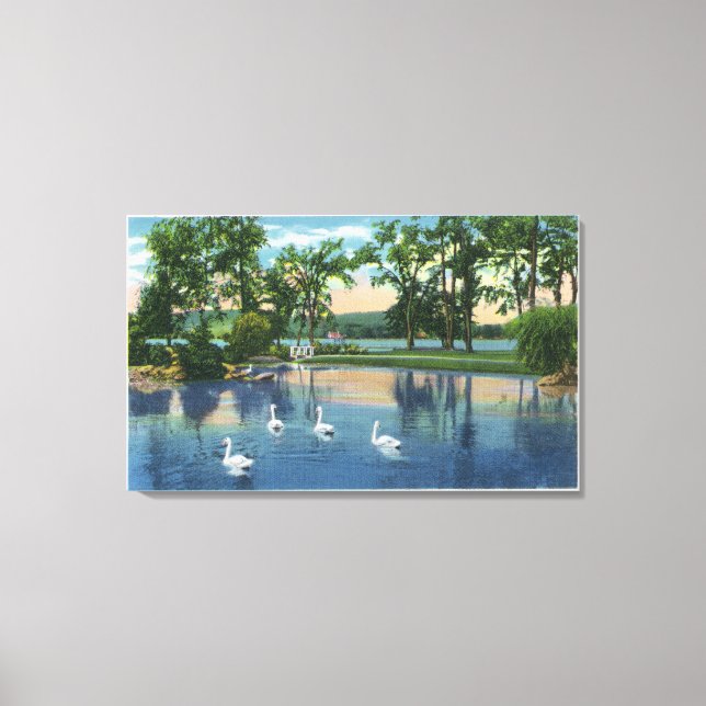 Scenic View of Swans on the Lake Canvas Print (Front)