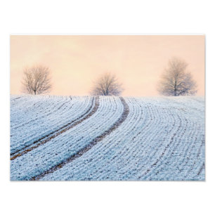 Scenic Winter Landscape Trees Hoarfrost Paperprint Photo Print