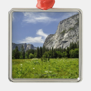 Scenic Yosemite Valley, California Metal Ornament