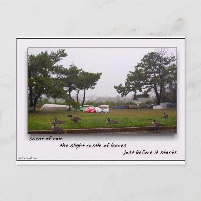Scent of Rain Postcard (Front)