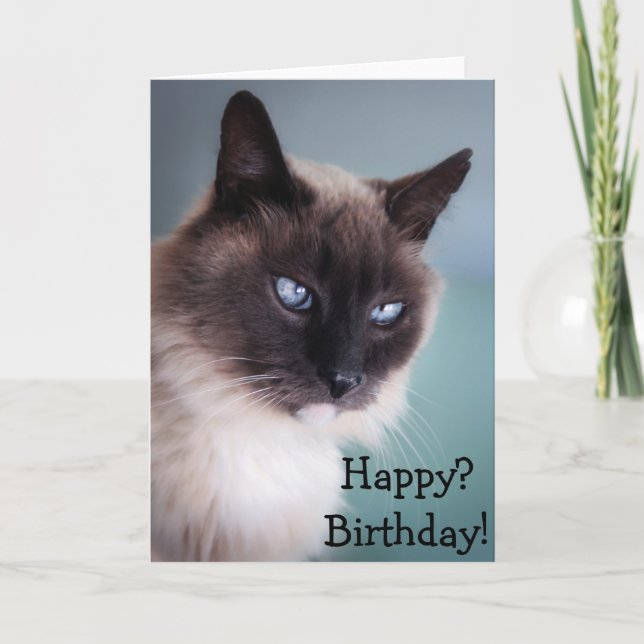 Sceptical or grumpy cat: Happy? Birthday! Card (Front)