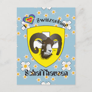 Schaffhausen Schweiz Postkarte Postcard