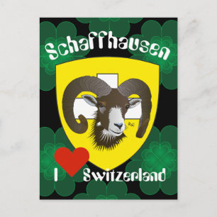 Schaffhausen Schweiz Postkarte Postcard