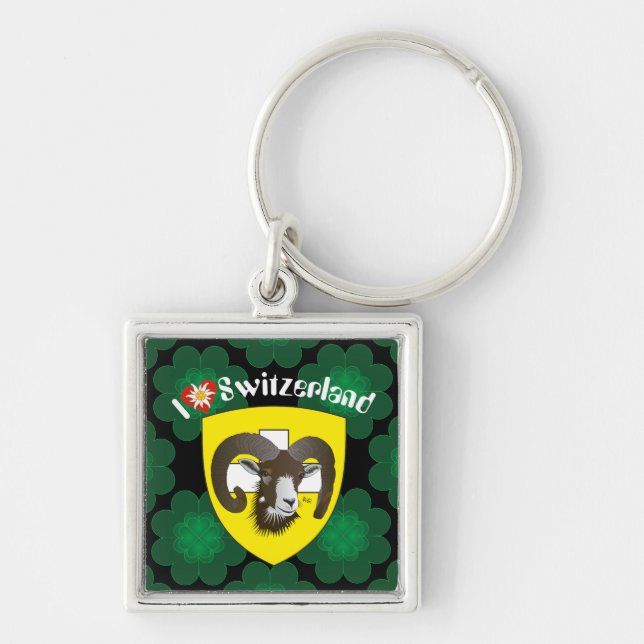 Schaffhausen Schweiz  Schlüsselanhänger Keychain (Front)