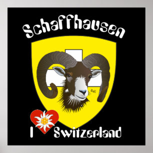 Schaffhausen - Schweiz - Suisse - Poster Svizzera