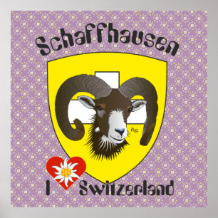 Schaffhausen - Schweiz - Suisse - Poster Svizzera