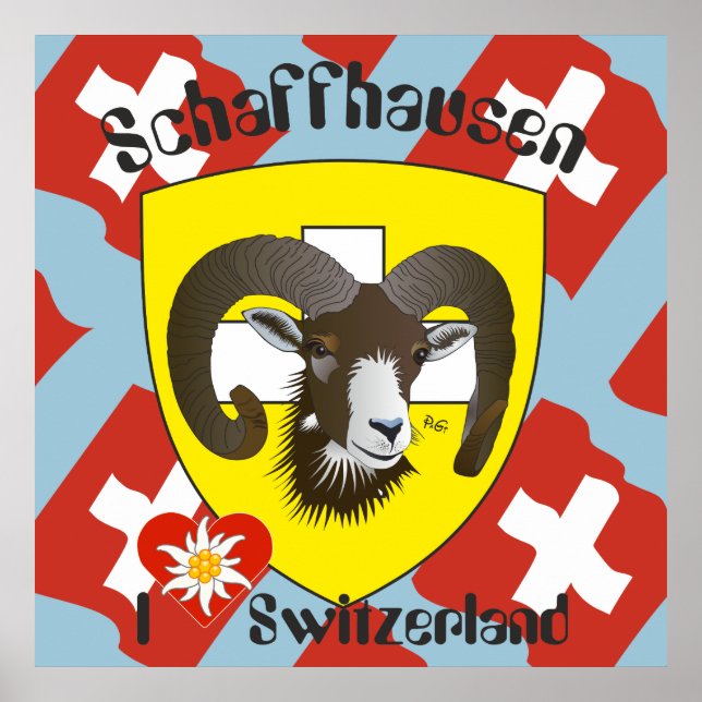 Schaffhausen - Schweiz - Suisse - Svizzera Poster (Front)