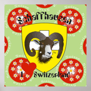 Schaffhausen - Schweiz - Suisse - Svizzera Poster