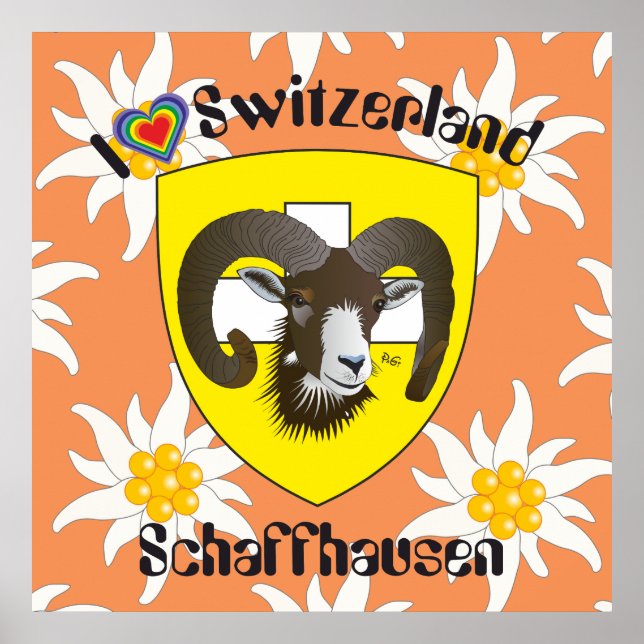 Schaffhausen - Schweiz - Suisse - Svizzera Poster (Front)