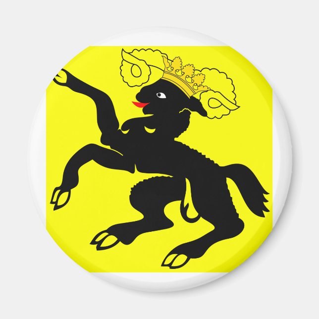 Schaffhausen, Switzerland Magnet (Front)